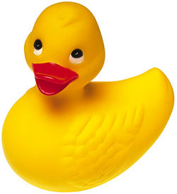 Hello Duck